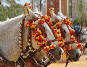 Feste e tradizioni Spagnole in tour dell'Andalusia