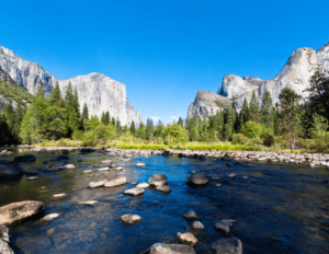 Yosemite National Park con Primavera Viaggi
