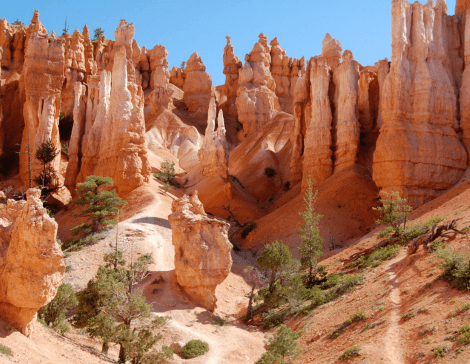Bryce Canyon paesaggio con Primavera Viaggi