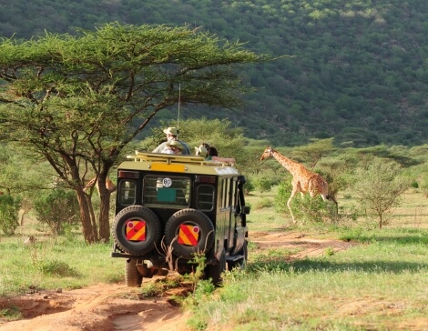 Safari Classico Africa