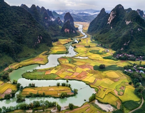 Risaie del Vietnam