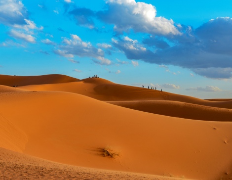 Marocco d’Autore