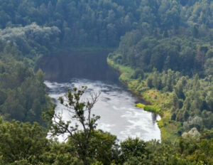 fiume Gauja