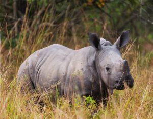 Uganda_09_giorni_2