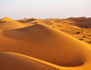 wahiba_sands_oman_viaggio_primavera_viaggi