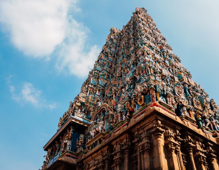 India del Sud 19/11 – 03/12