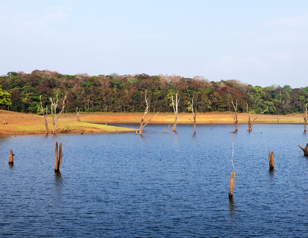 thekkady-india-viaggio-primavera-viaggi
